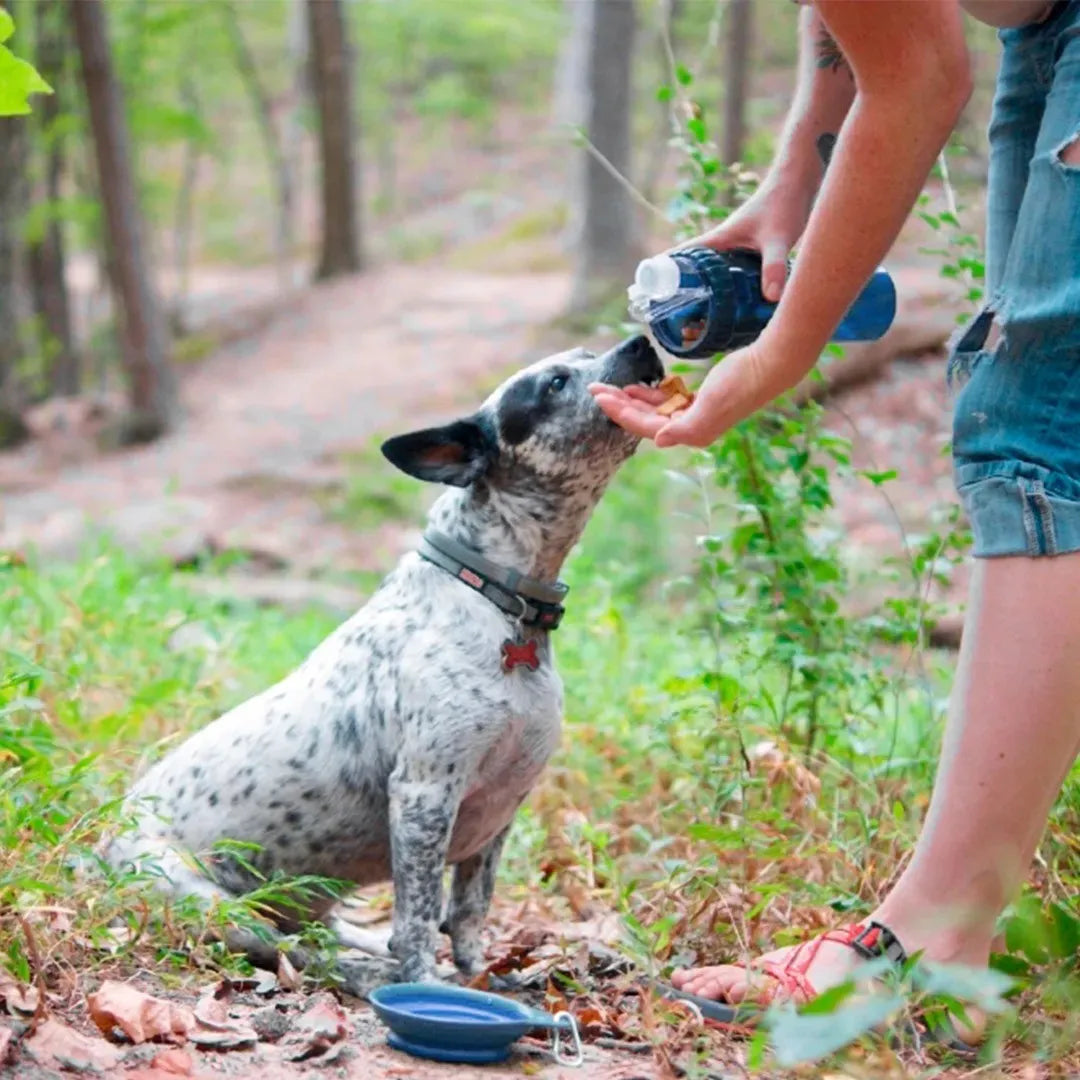 Botilo Bebedero Comedero Mascota