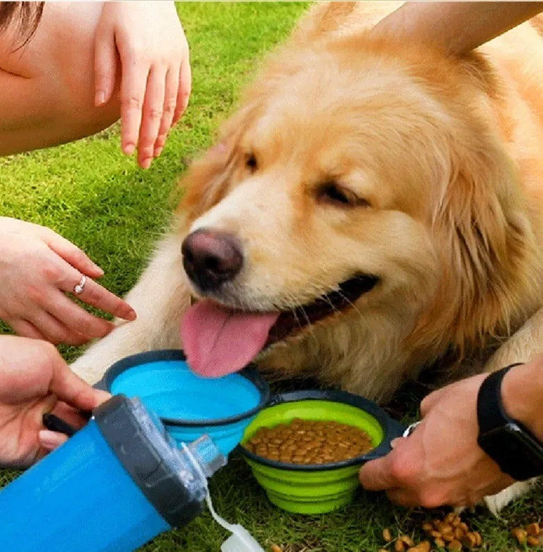 Botilo Bebedero Comedero Mascota